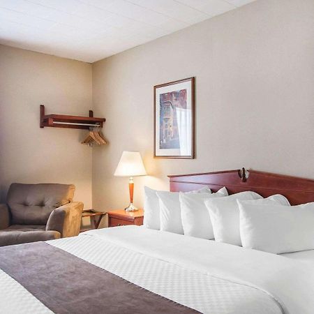 Hotel Danube Bleu Forestville Kültér fotó